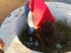 Atividade de arborização - Escola Nossa Senhora Rainha dos Anjos (CAIC) - Petrolina-PE - 09.04.2015