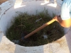 Atividade de arborização - Escola Nossa Senhora Rainha dos Anjos (CAIC) - Petrolina-PE - 09.04.2015