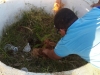 Atividade de arborização - Escola Nossa Senhora Rainha dos Anjos (CAIC) - Petrolina-PE - 09.04.2015
