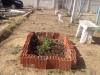 Atividade de arborização e compostagem - Escola Lomanto Júnior - Juazeiro-BA - 06.08.15