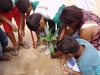 6-pev-juntamente-com-os-alunos-e-professores-arborizam-a-escola-walter-gil-30-04-13