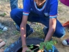 Atividades de Arborização mobilizam escolas 