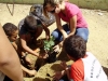 2013 - Atividades de arborização nas escolas