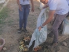 Atividades de arborização e compostagem - Colégio Lomanto Júnior - Juazeiro-BA - 16.06.15