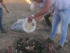 Atividades de arborização e compostagem - Colégio Lomanto Júnior - Juazeiro-BA - 16.06.15