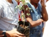 mobilizacao-para-arborizacao-escola-leopoldina-leal-juaziero-ba-21-09