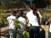 Visita técnica ao CRAD - Escola Municipal 21 de Setembro - Petrolina-PE - 14.05.15