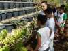 Visita técnica ao CRAD - Escola Municipal 21 de Setembro - Petrolina-PE - 14.05.15