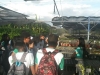 Escolas mobilizadas pelo PEV realizam visitas técnicas