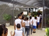 7-alunos-da-escola-judite-leal-juazeiro-visitam-viveiro-do-crad-atraves-do-pev-16-05-13