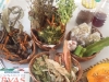 Palestra sobre plantas medidicinais - Escola Joca de Souza - Juazeiro-BA - 08.08.15
