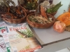 Palestra sobre plantas medidicinais - Escola Joca de Souza - Juazeiro-BA - 08.08.15