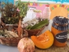 Palestra sobre plantas medidicinais - Escola Joca de Souza - Juazeiro-BA - 08.08.15