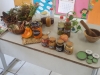 Palestra sobre plantas medidicinais - Escola Joca de Souza - Juazeiro-BA - 08.08.15