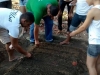 Criação de horta - Escola Municipal Jeconias José dos Santos - Petrolina