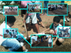 Hortas ecológicas do PEV mobilizam escolas durante a SNCT