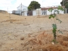 atividade-de-arborizacao-na-escola-nossa-senhora-rainha-dos-anjos-caic-bairro-cohab-iv-petrolina-pe-30-09-2013-10
