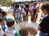 atividade-de-arborizacao-na-escola-nossa-senhora-rainha-dos-anjos-caic-bairro-cohab-iv-petrolina-pe-30-09-2013-4