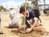 atividade-de-arborizacao-na-escola-nossa-senhora-rainha-dos-anjos-caic-bairro-cohab-iv-petrolina-pe-30-09-2013-8