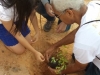 Arborização e passeata - Escola Pe. Luiz Cassiano - Petrolina-PE - 01.08.15