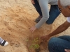 Arborização e passeata - Escola Pe. Luiz Cassiano - Petrolina-PE - 01.08.15