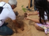 Arborização e passeata - Escola Pe. Luiz Cassiano - Petrolina-PE - 01.08.15