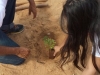 Arborização e passeata - Escola Pe. Luiz Cassiano - Petrolina-PE - 01.08.15