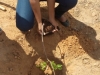 Arborização e passeata - Escola Pe. Luiz Cassiano - Petrolina-PE - 01.08.15