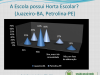 Gráfico 10. Distribuição percentual da existência de horta escolar. Todos os níveis