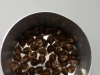 Produção de mudas - CRAD - CCA-UNIVASF