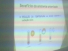 Palestra Arborização - Colégio Cecílio Matos