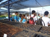 Visita ao CRAD e ao Canil - Escola Professor Humberto Soares - Petrolina