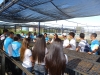 Visita ao CRAD e ao Canil - Escola Professor Humberto Soares - Petrolina